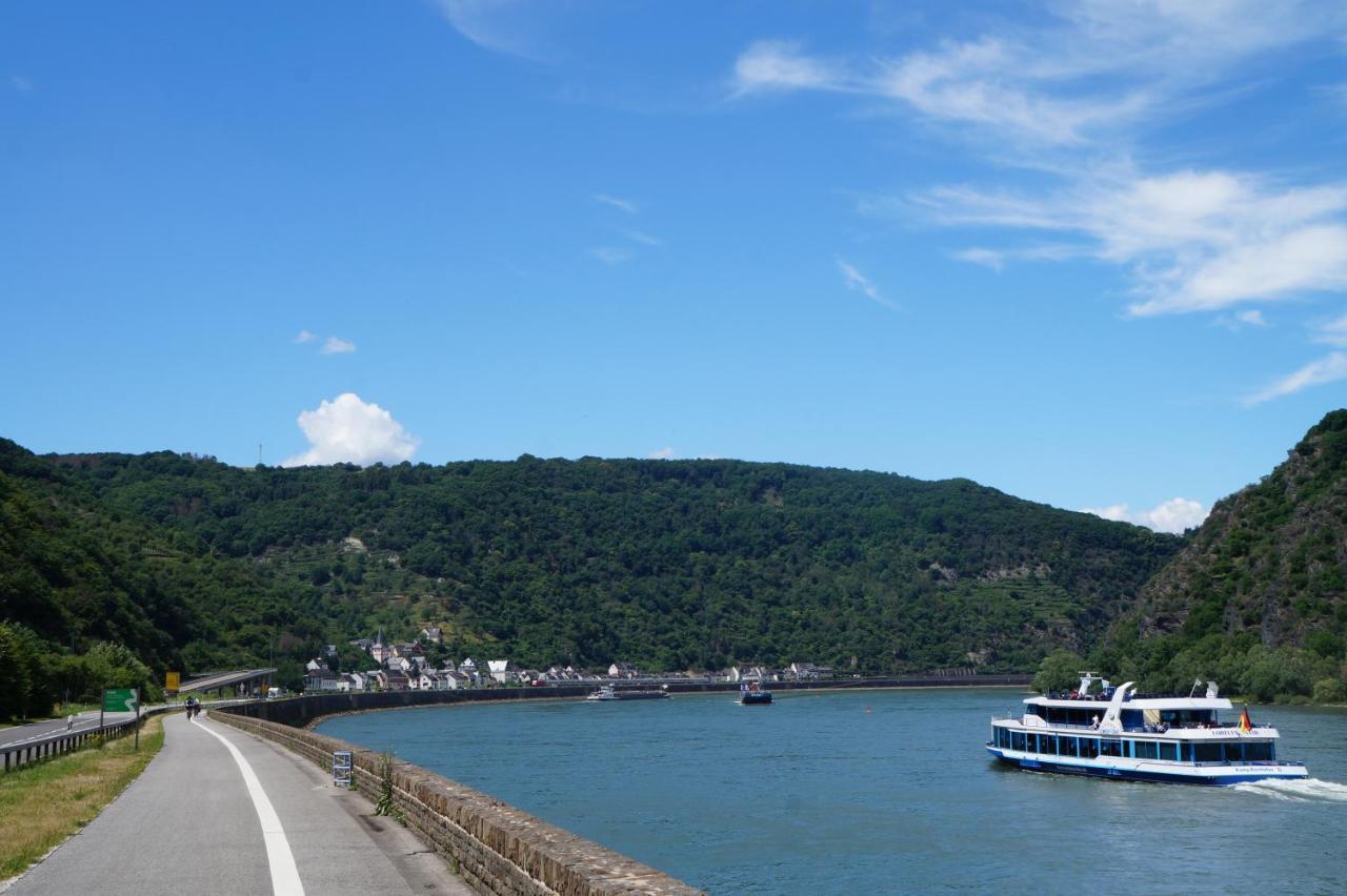 4-Sterne Ferienwohnung Carbach -Perfekt Fuer Radfahrer- Boppard Esterno foto